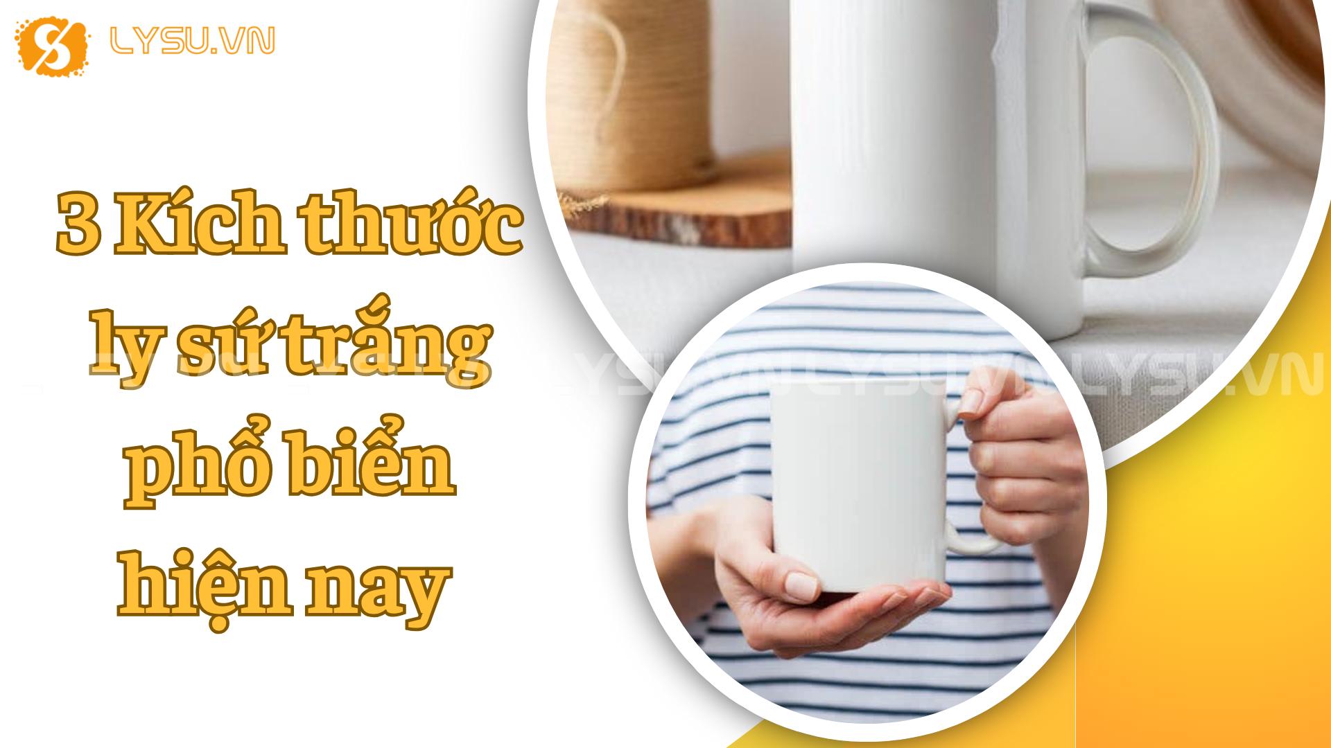 3 Kích thước ly sứ trắng phổ biển hiện nay 